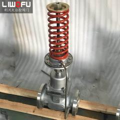 自力式壓力調(diào)節(jié)閥:科技引領(lǐng),壓力控制新篇章 自力式壓力調(diào)節(jié)閥:科技引領(lǐng),壓力控制新篇章